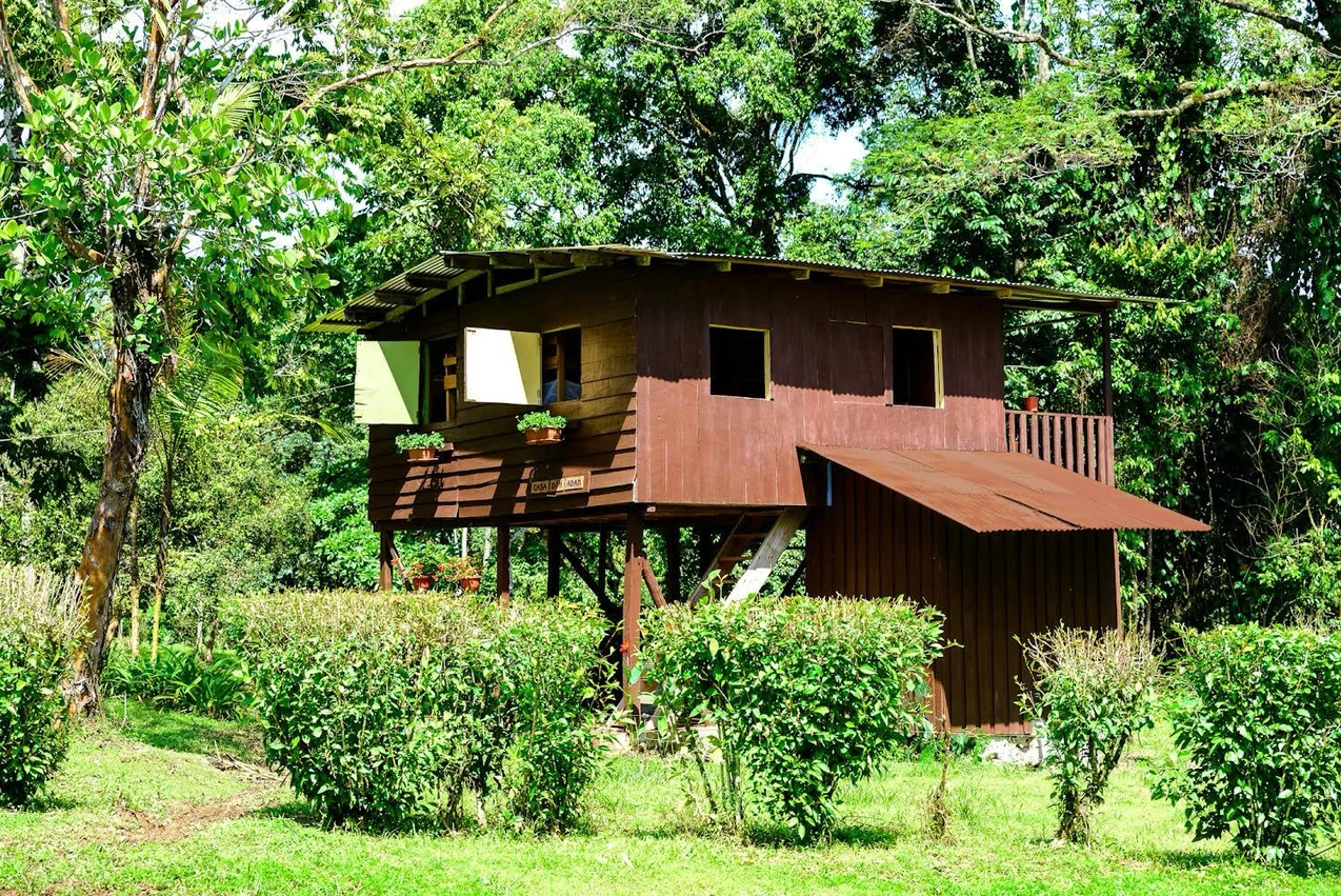 Barbilla Rainforest Lodge on the Camino de Costa Rica