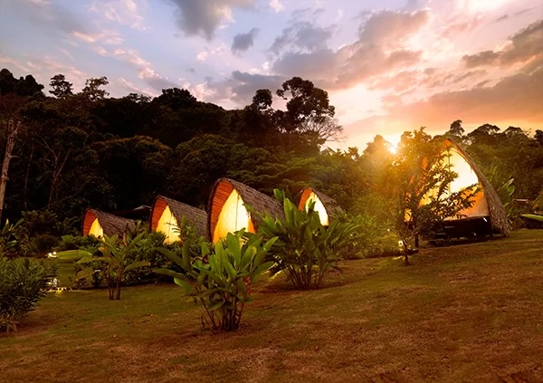 Esquipulas Rainforest