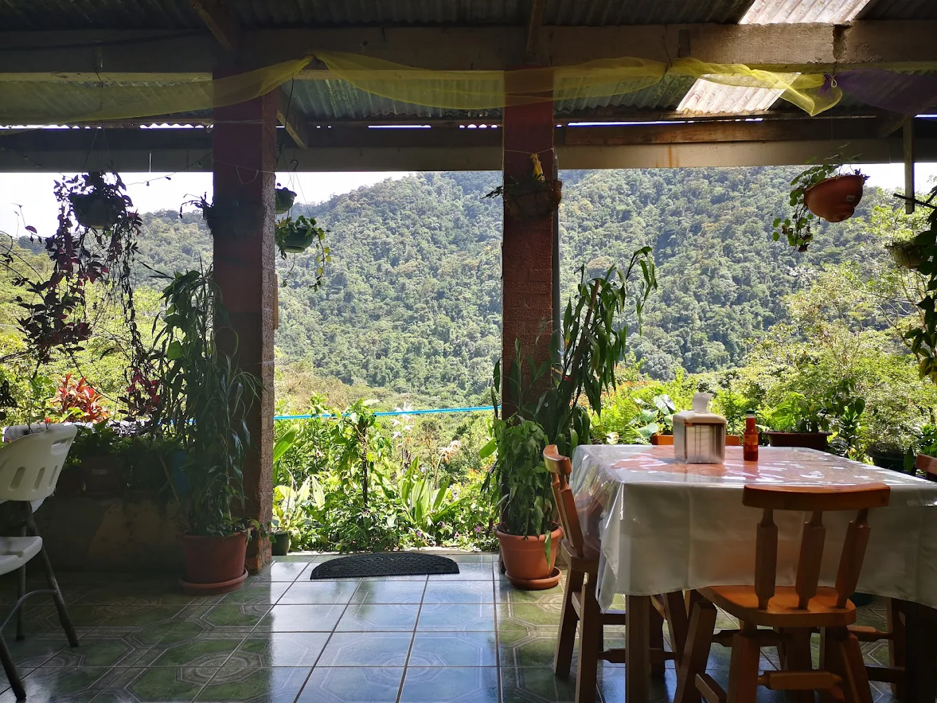 Finca Los Maestros on the Camino de Costa Rica