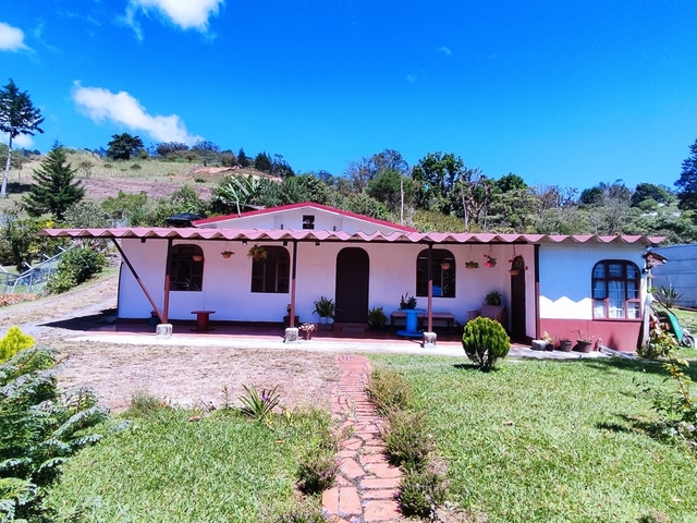 Las Orquideas de Palo Verde