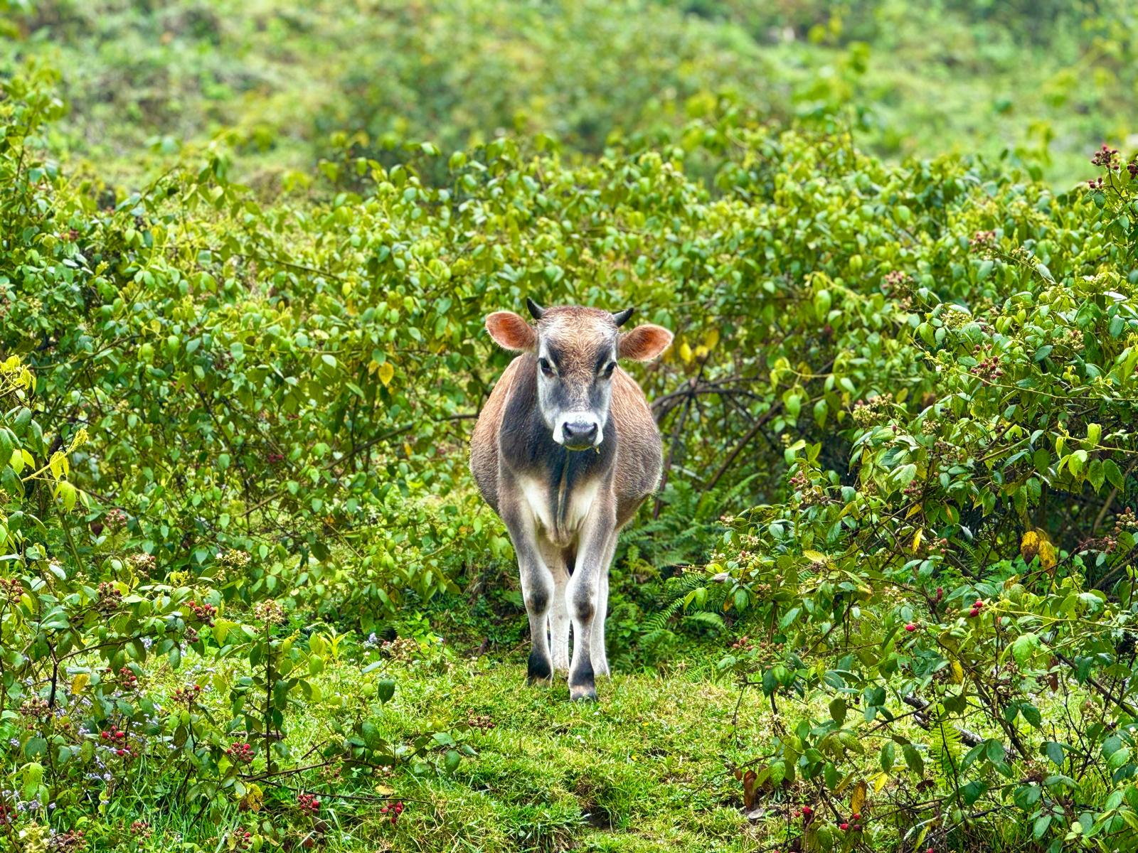 Managing reservations on WhatsApp during your hike
