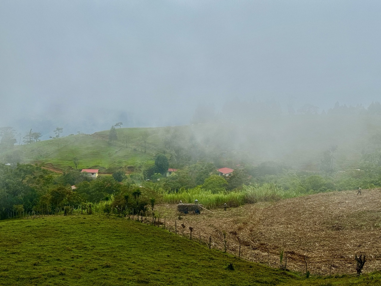 Everything You Need to Know About El Camino de Costa Rica