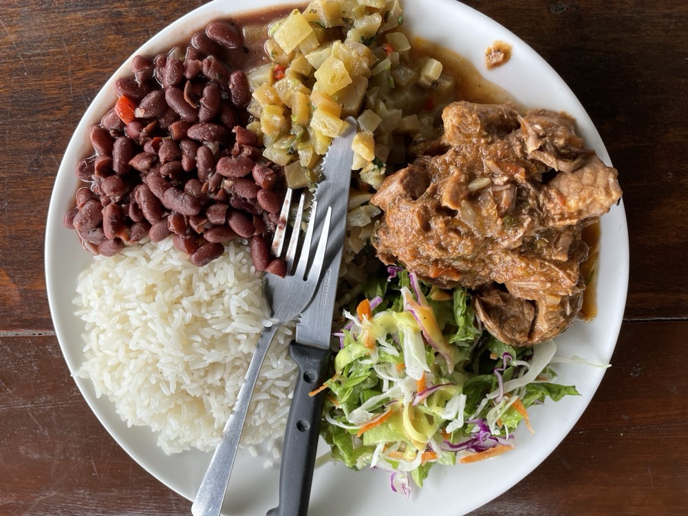 What are Costa Rican sodas?