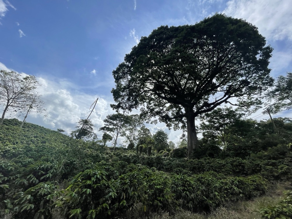 The different weather throughout the year on the Camino de Costa Rica