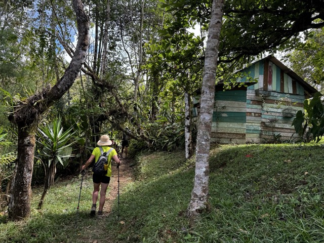 Trekking poles available for rent at Green Gold Lodge