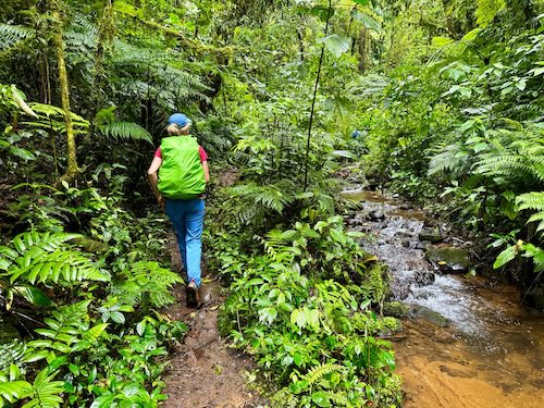 Hiker on the Camino de Costa Rica